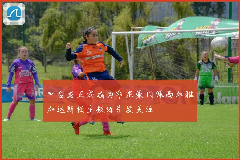 申台龙正式成为印尼豪门佩西加雅加达新任主教练引发关注